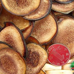鹿茸粉片 來自樺甸山里人家的珍貴滋補品